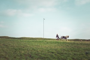 of man, his horse, and a street light